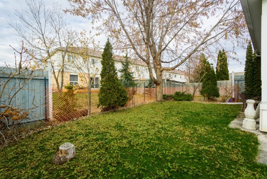 Garden2